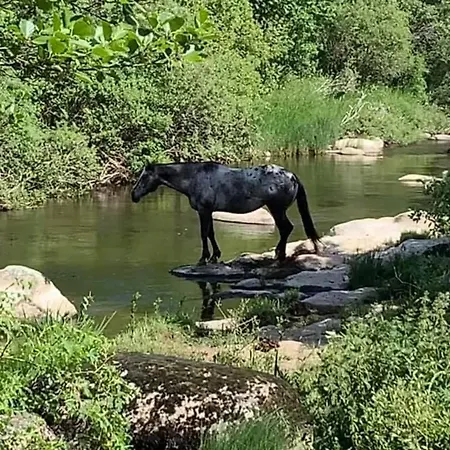 Le Bes, A La Chaldette * Saint-Rémy-de-Chaudes-Aigues